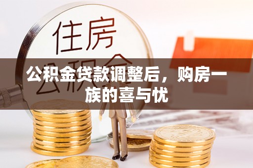 眉山公积金贷款调整后，购房一族的喜与忧